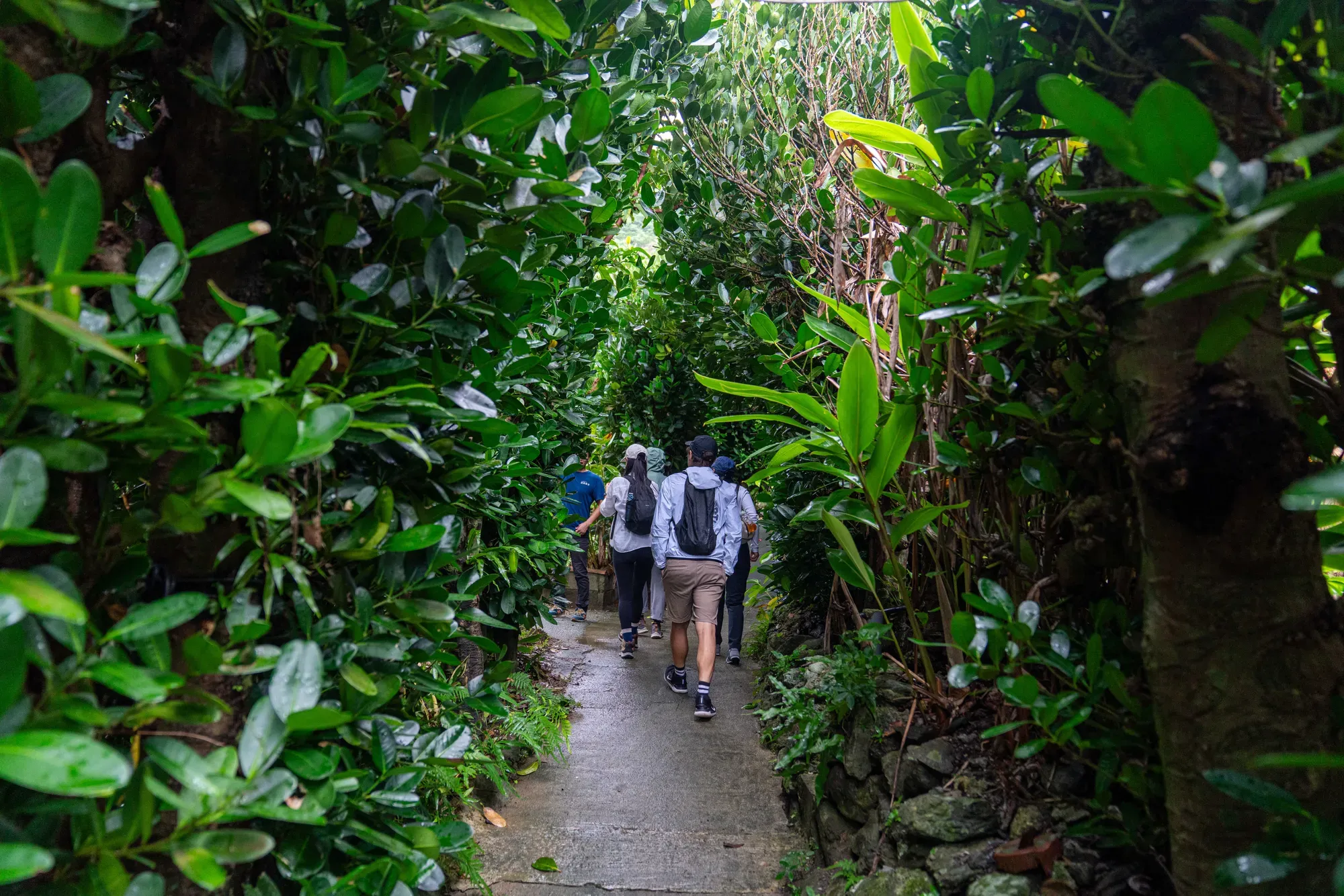 Meet Us In Okinawa