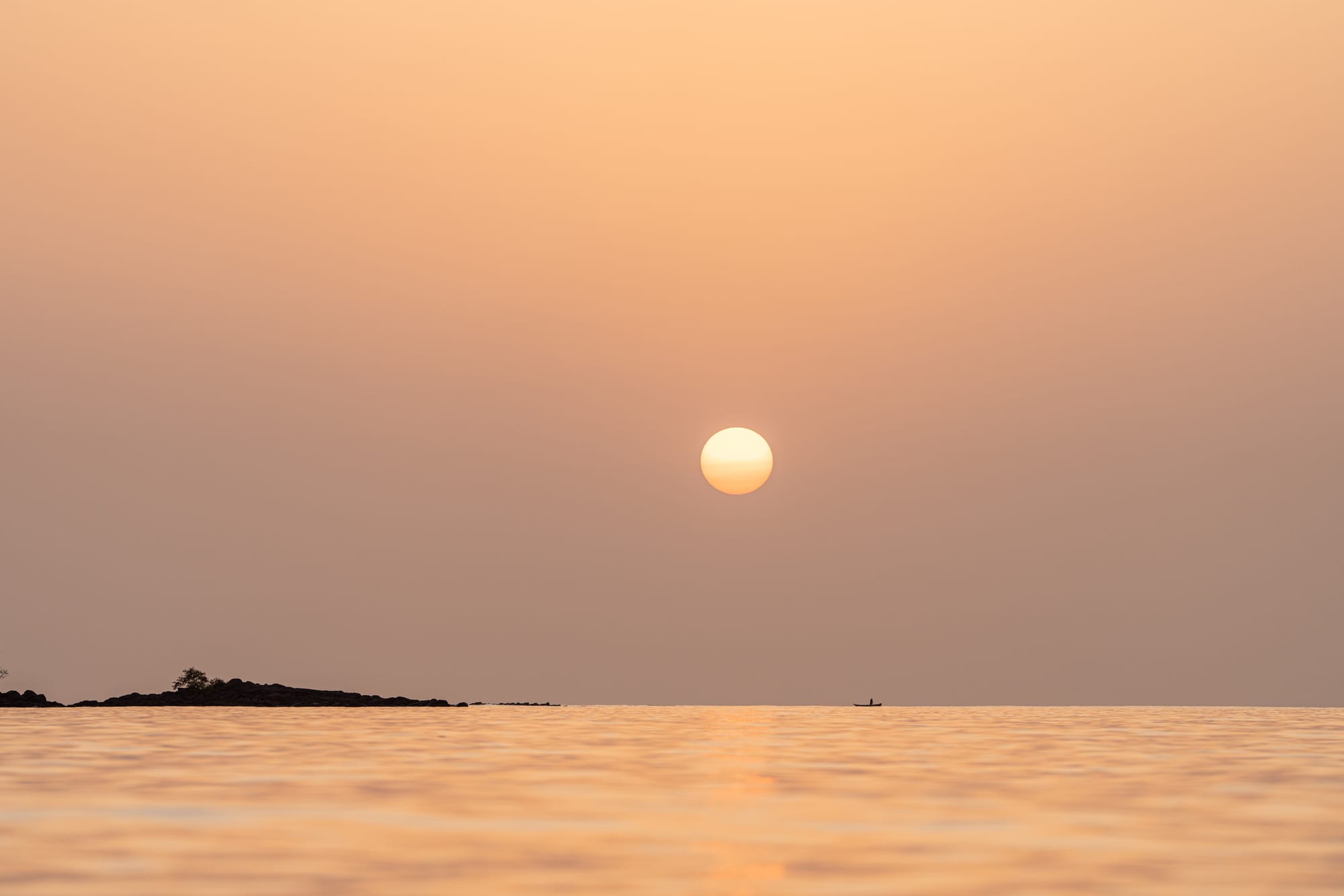 Celebrating a Book Proposal Rejection