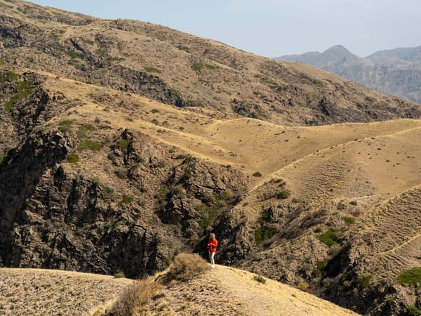 An Outdoors Call for Pitches With Above-Average Rates